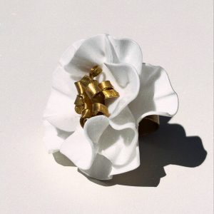 Anillo blanco
